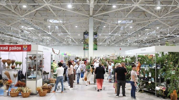 «Кубанская ярмарка» в Краснодаре: что привезут, гастро-фестиваль, сырный конкурс