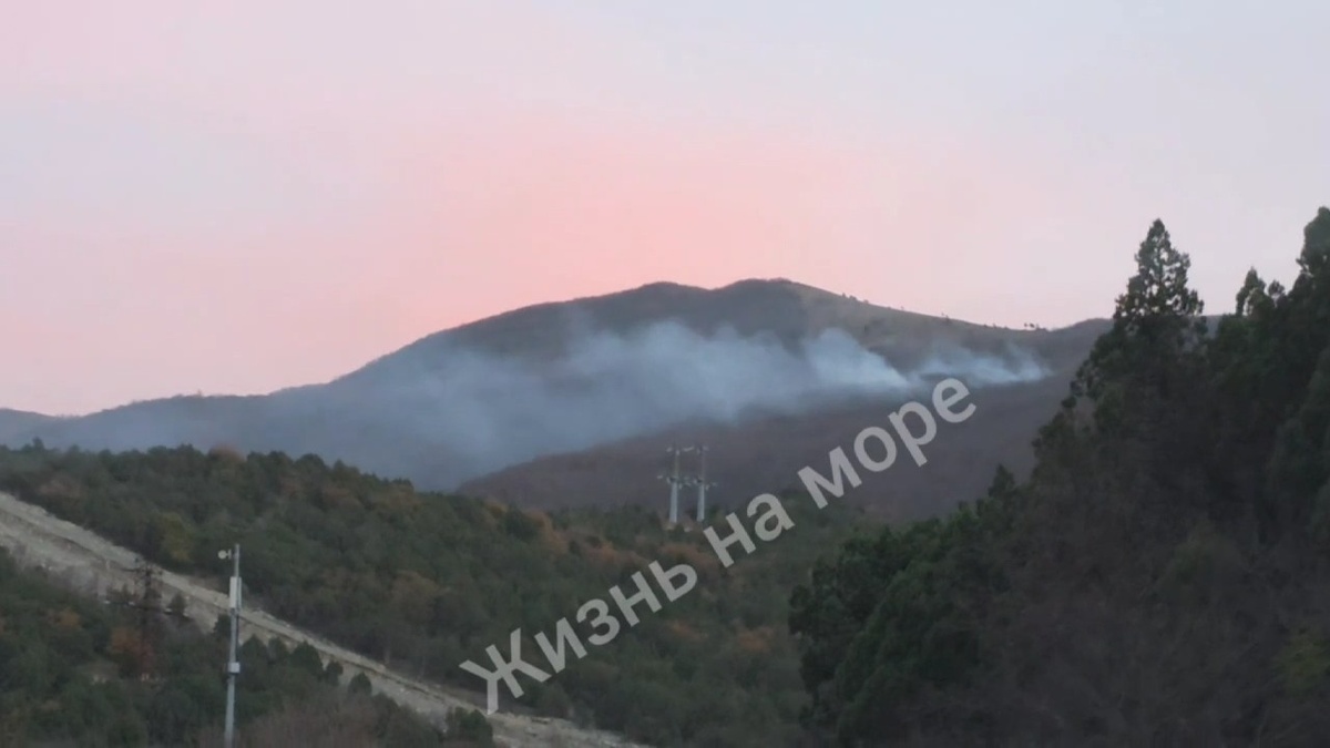 Лесной пожар площадью 0,5 га произошел в Новороссийске