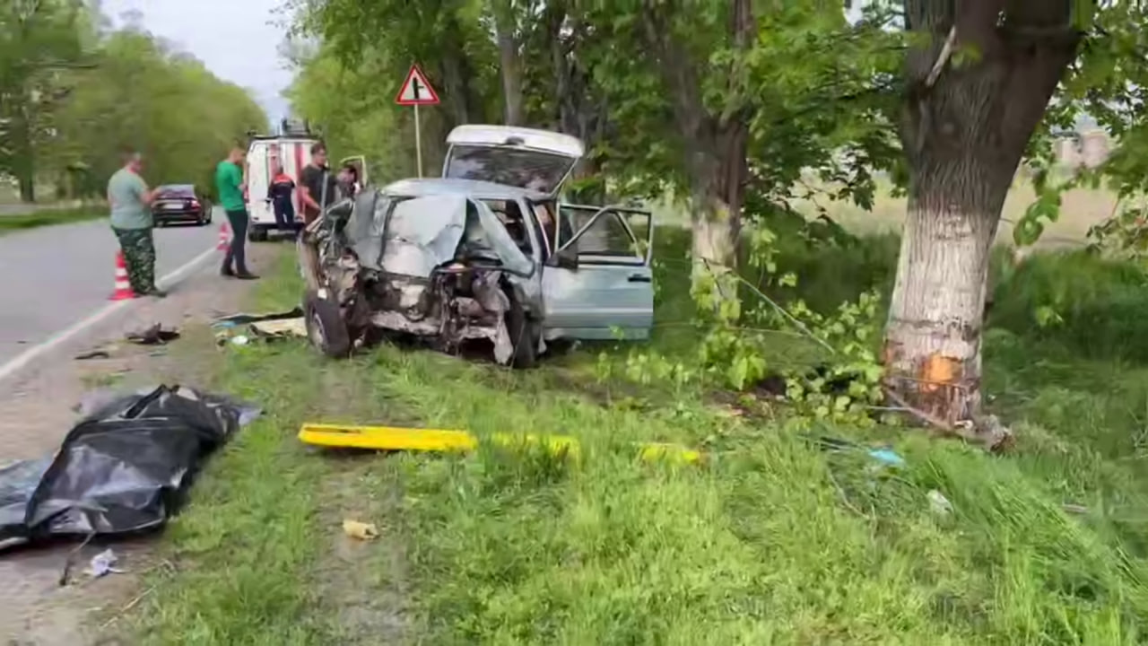 Молодой водитель на легковушке влетел в дерево на Кубани, погиб пассажир