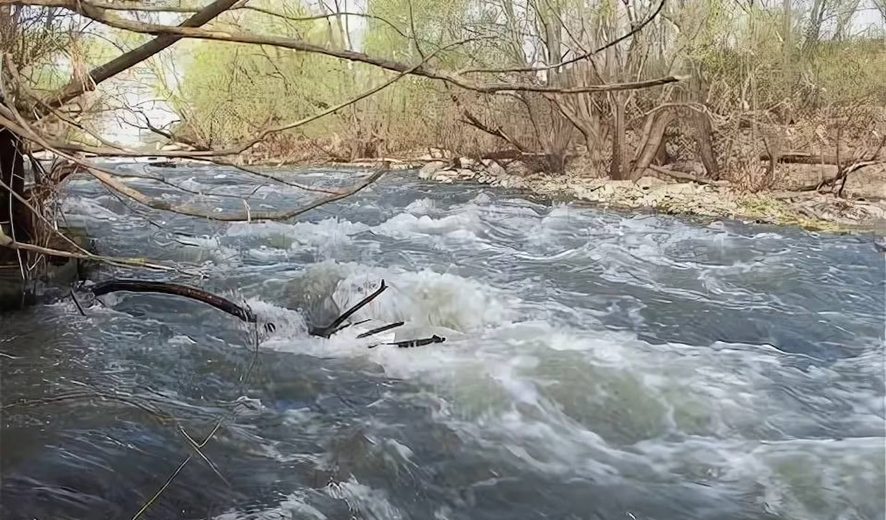 МЧС: уровень воды в реке Лаба на Кубани может достигнуть неблагоприятной отметки