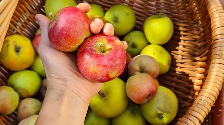 На Кубани бархатный сезон продлится до середины октября! Погода на эту неделю