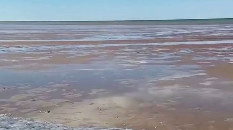 На Кубани наблюдают необычное явление! Кисельные берега Азовского моря