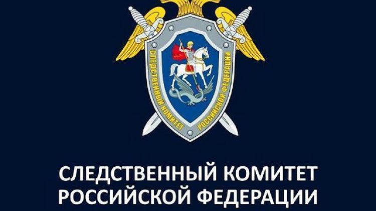 На Кубани после исчезновения женщины-Дюймовочки возбуждено уголовное дело: что известно