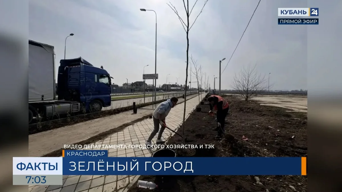 На улицах Краснодара высадят более 3 тыс. деревьев и 46 тыс. кустарников