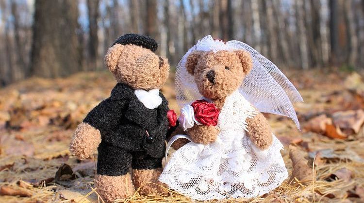 Не только штамп в паспорте: что обещают молодым семьям на Кубани?