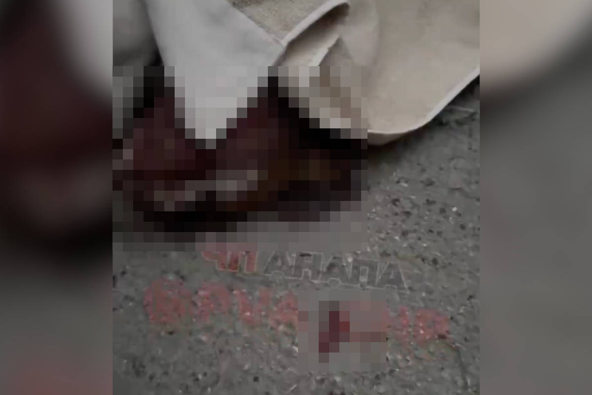Неизвестные пробрались во двор частного дома в Анапе и напали на собаку и щенка