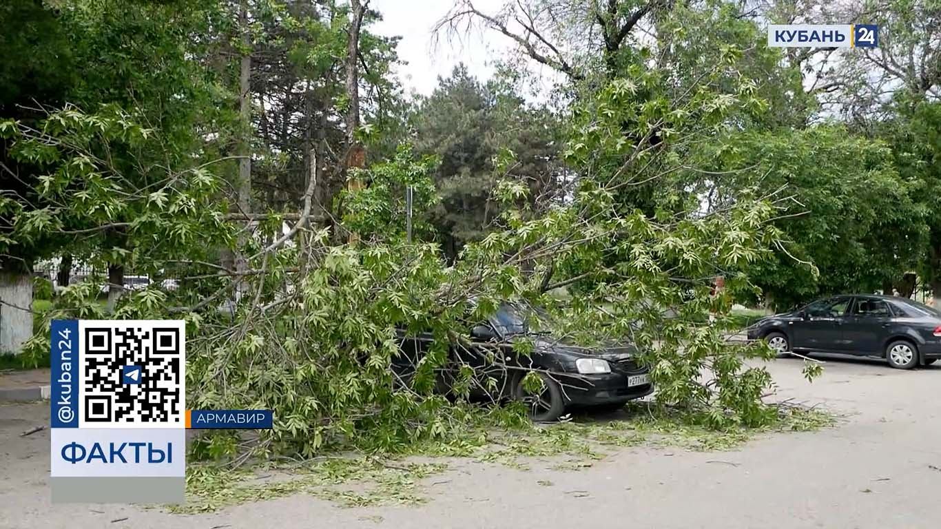 Непогода на Кубани: как районы справились с разгулом стихии