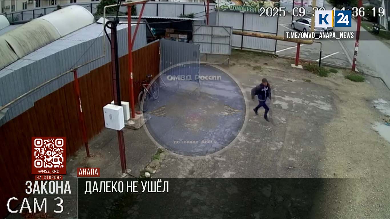 Неравнодушные прохожие задержали грабителя на рынке в Анапе