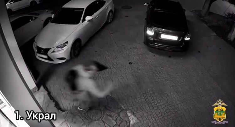 Неудачное ограбление по-питерски: в Сочи грабителя выдал собственный паспорт