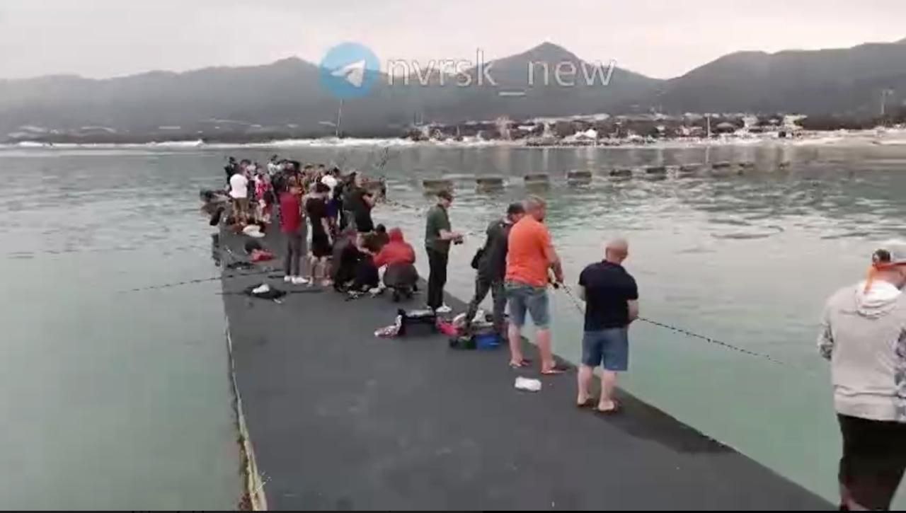 Новость о сбежавшей в Черном море форели вызвала ажиотаж у рыбаков на Кубани
