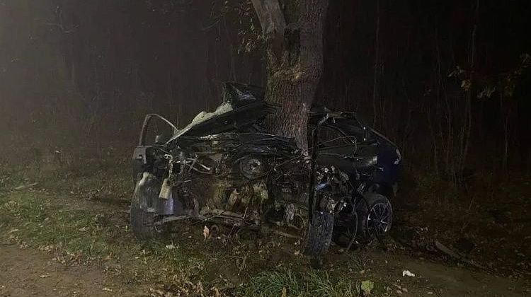 Ночная трагедия на Кубани! Занесло прямо в дерево: молодой парень скончался на месте
