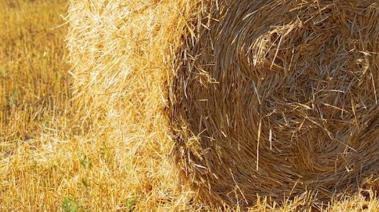 Ночной пожар на Кубани: хулиганы оставили хозяина без 1250 тюков соломы