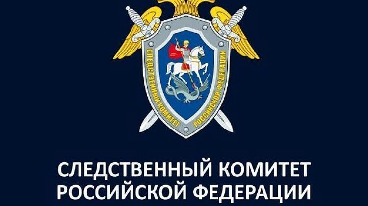 Обстановка накалена! Бастрыкин затребовал повторный доклад по поискам женщины-Дюймовочки на Кубани