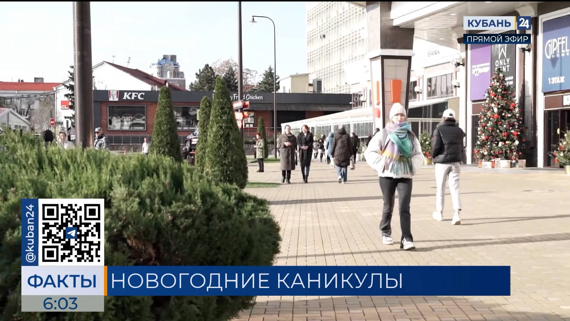 Опрос: 11% жителей Краснодара хотели бы более длинные новогодние каникулы