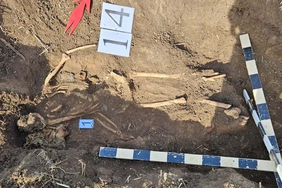 Останки красноармейца из Краснодарского края обнаружили в Крыму