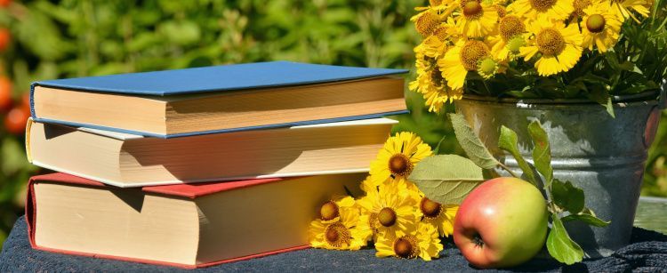 Первый книжный фестиваль пройдет на Кубани: чем удивит - уже известна программа