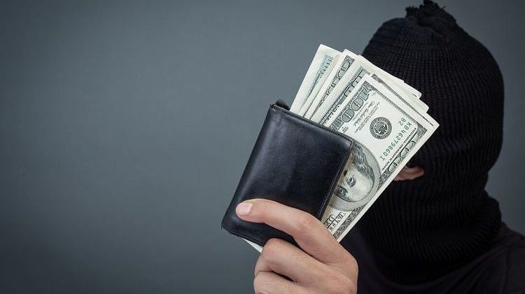 Пожизненная компенсация: новая инициатива помощи пострадавшим от нападения собак