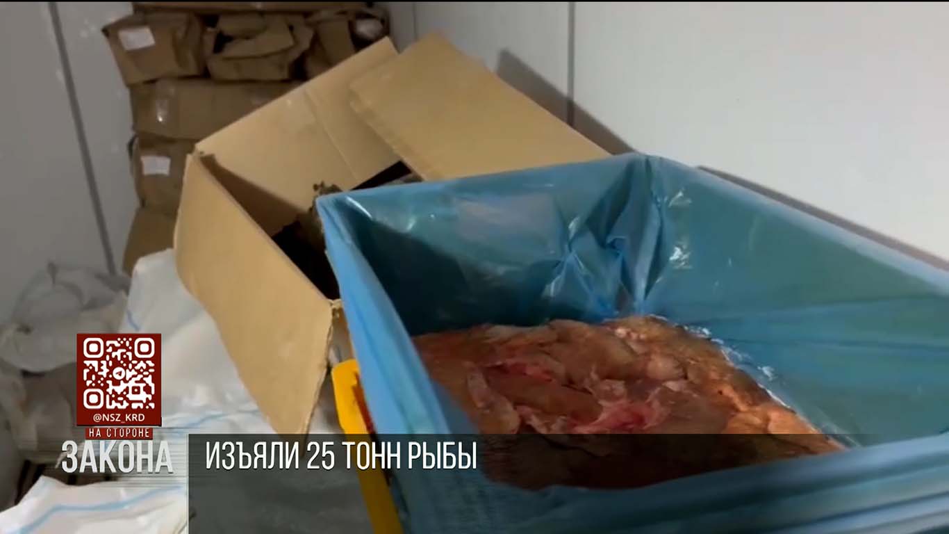 Полицейские изъяли 25 тонн рыбы из незаконного оборота на Кубани