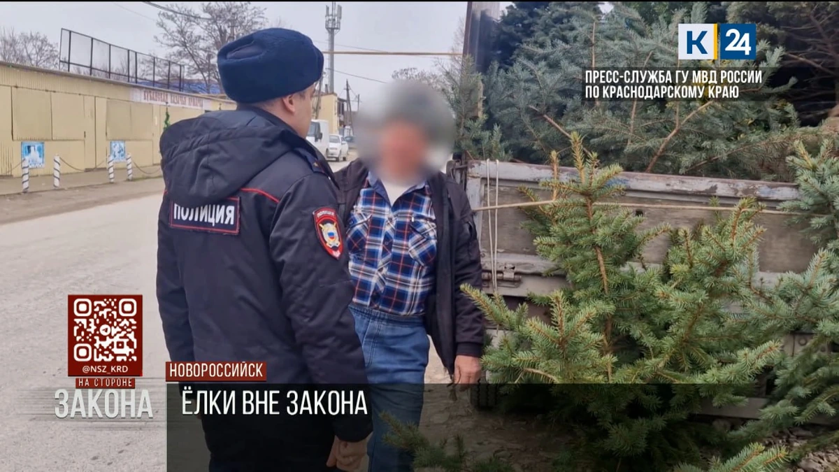 Полицейские пресекли незаконную продажу елок в Новороссийске