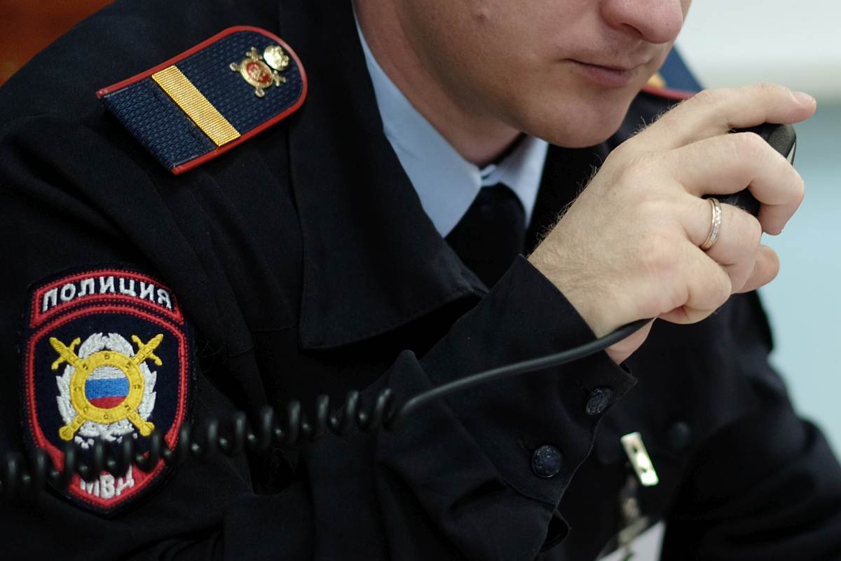 Полиция начала проверку после расстрела бездомных собак из дробовика в Сочи