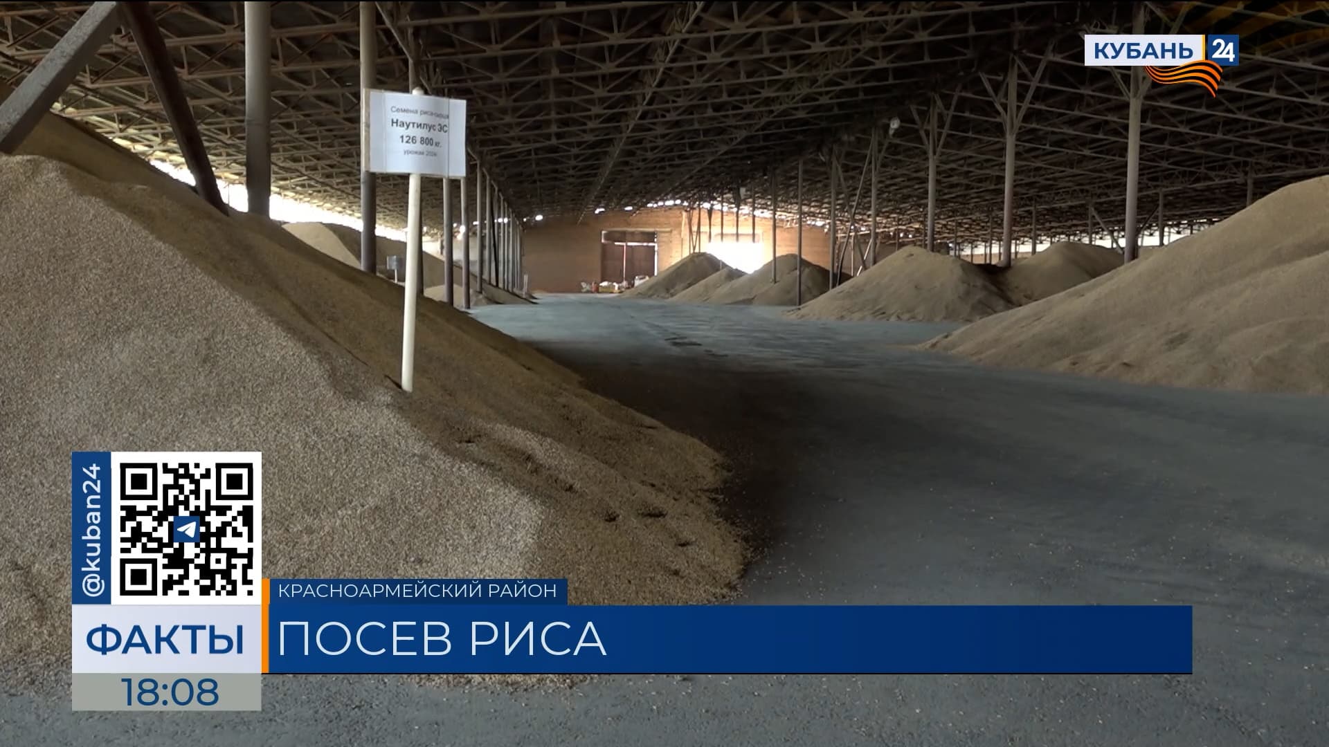 Посевная кампания риса в Краснодарском крае подходит к концу