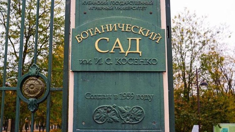Почему в Краснодаре закрыли ботанический сад?