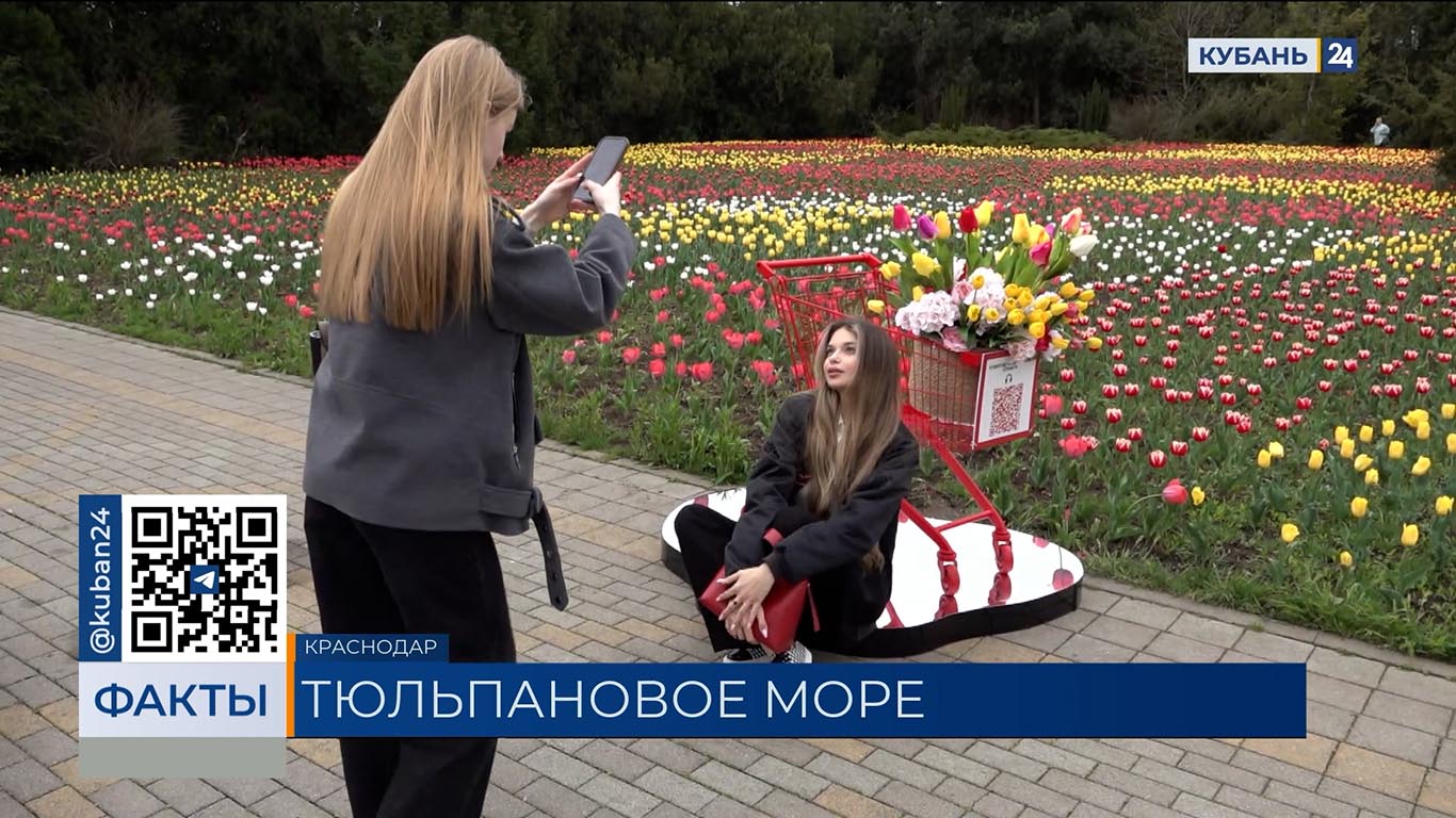 Проект «Тюльпаномагия» запустил «Магнит» в Краснодаре