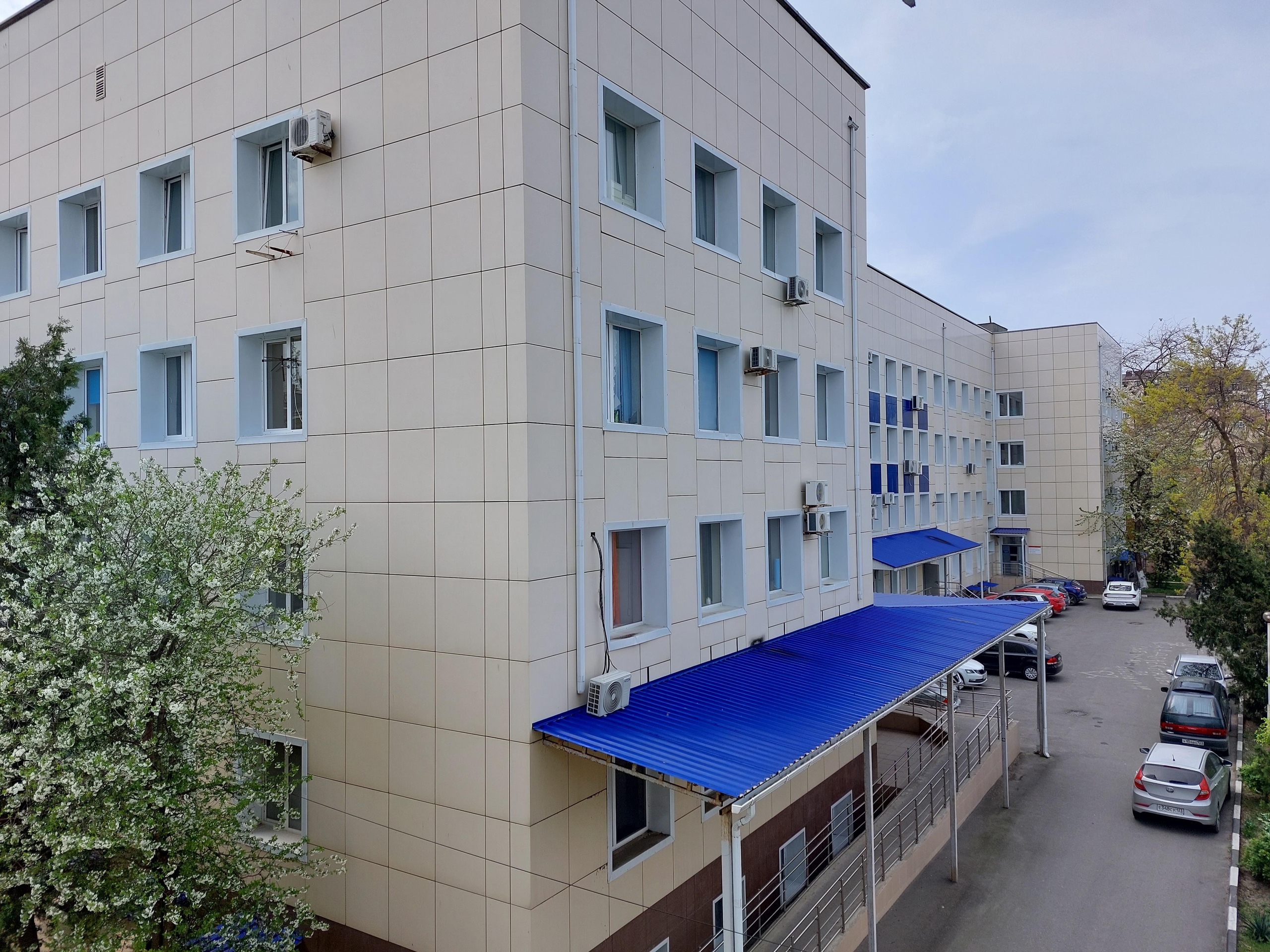 Пьяная жительница Алтая устроила дебош в горбольнице Анапы