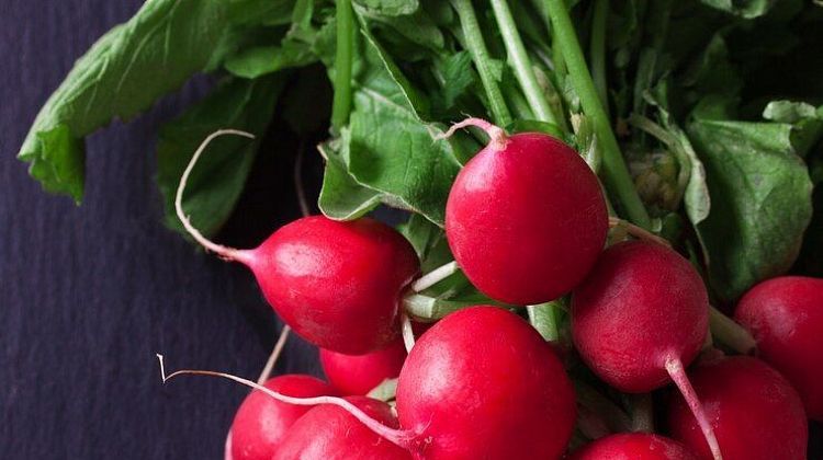 Редиска - хрустящий источник здоровья: польза и интересные вкусовые сочетания