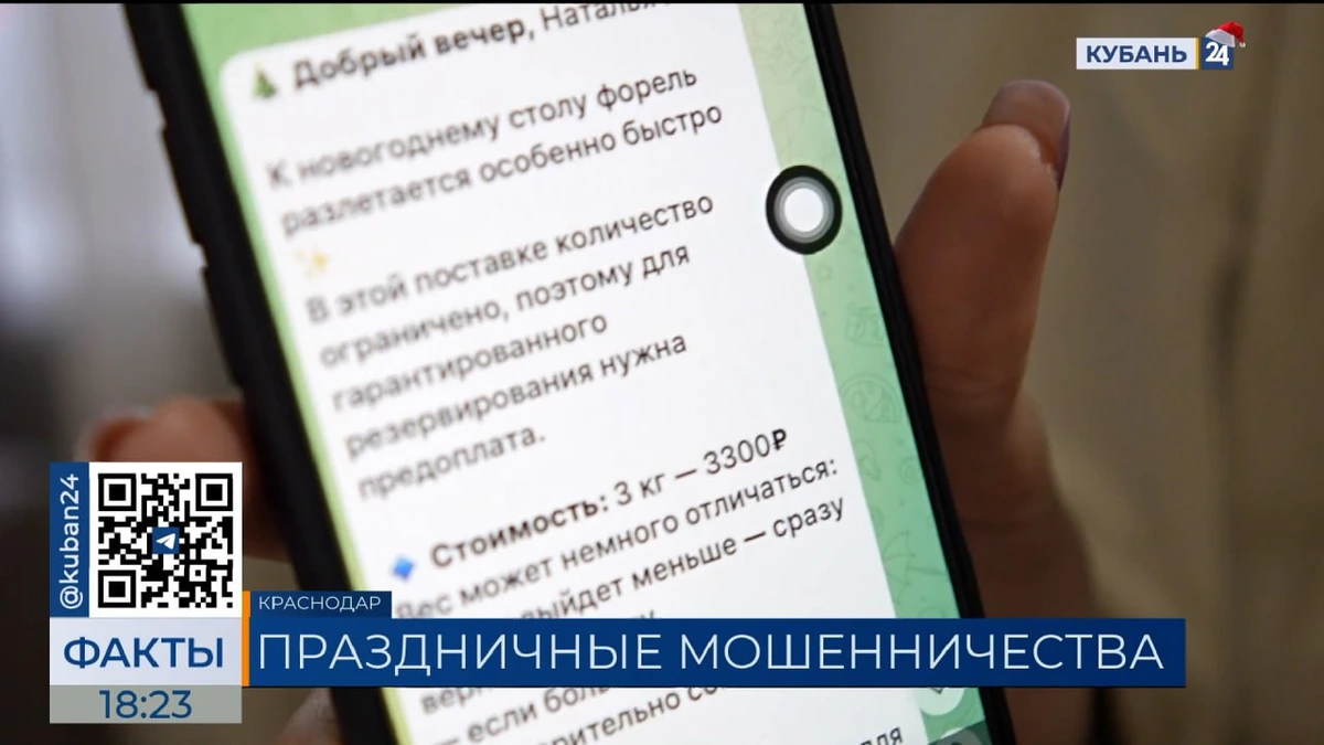 Резкий рост кибератак в России фиксируют полицейские накануне Нового года