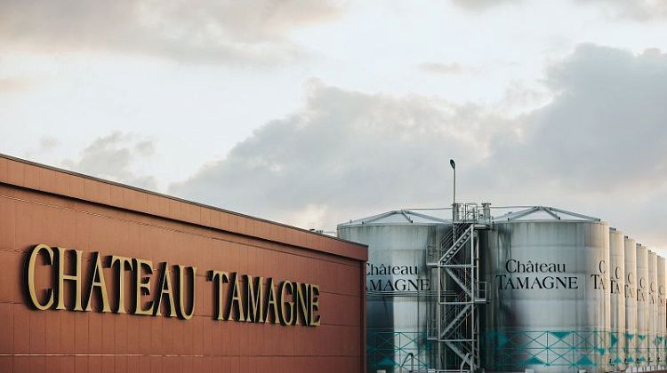 Российская винодельня вошла в число лидеров отрасли по версии Forbes