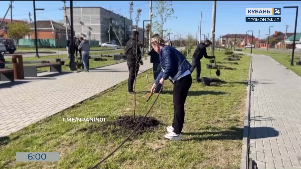 «Сад памяти» появился в сквере Дзержинского в Тимашевске к 80-летию Победы
