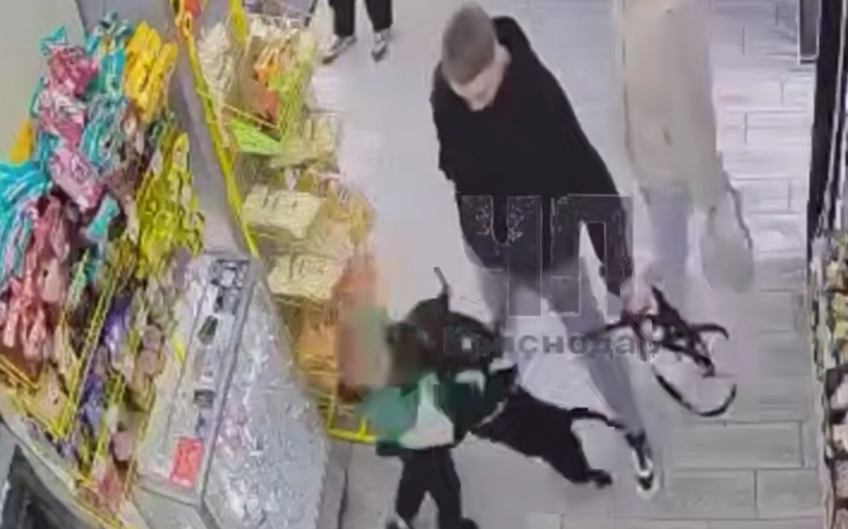 СК организовал проверку после нападения собаки на ребенка в магазине Краснодара