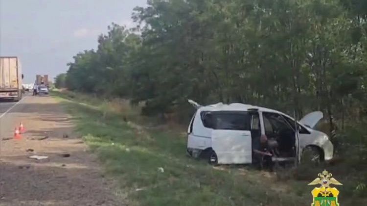 Смертельная цепочка событий на дороге! На Кубани погиб ребенок под фурой