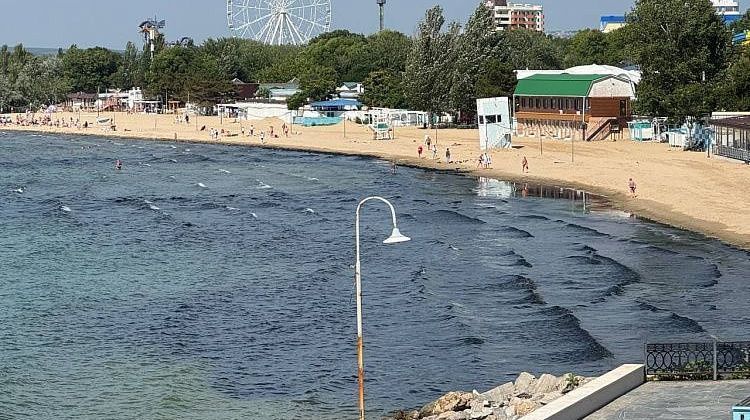 Срочно! В Анапе водоросли черного цвета: мазут ни при чем