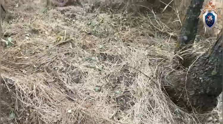 СРОЧНО! Найдено тело «Дюймовочки» на Кубани