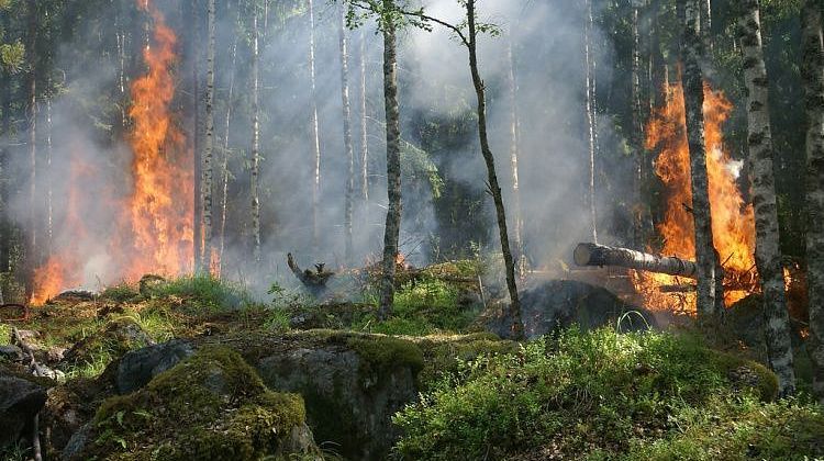 Срочно! Огонь после падения дрона в Геленджике грозит туристам: подробности спасения