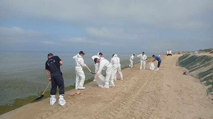 Стой! Не пляж, а опасная зона! Новый статус для побережья в Анапе, запрещено даже посещение