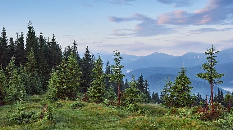Тайга не дает никаких подсказок! В деле Усольцевых винят потусторонние силы: схожие истории в этом же месте