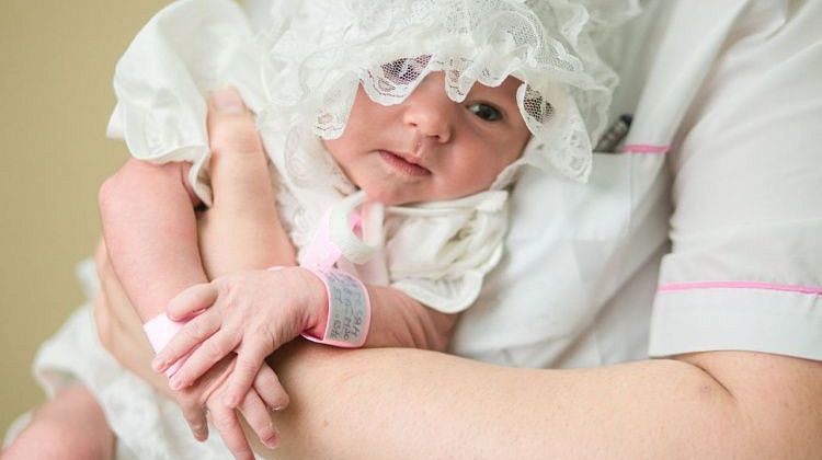 Такого на Кубани давно не было! Двойная маленькая радость всего за сутки