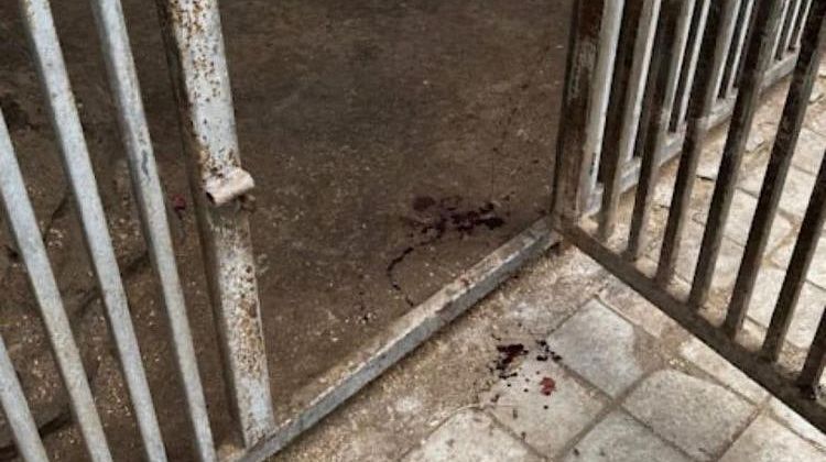 Трагедия в зоопарке: мужчина скончался на месте происшествия