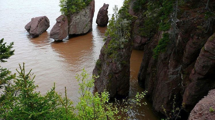 Трагедия на Кубани! Тело юноши нашли в горной реке: экспертам придется выяснить правду