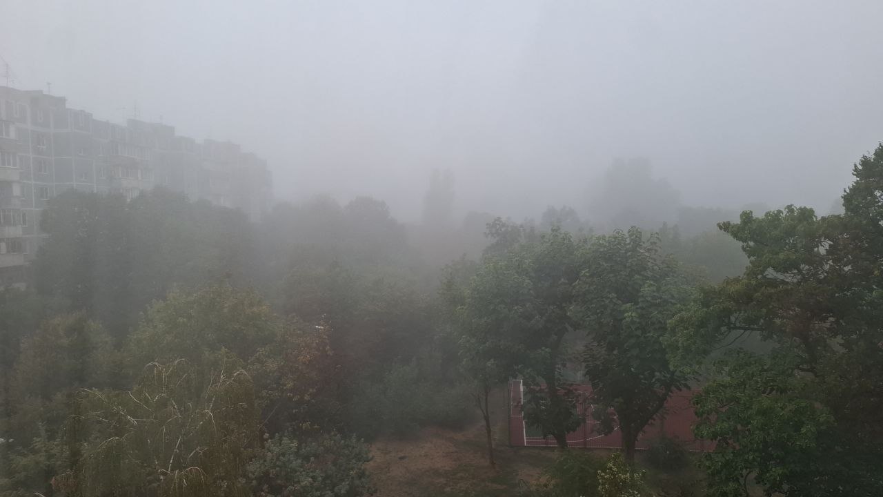 Туман и до +22 °С прогнозируют на Кубани 7 ноября