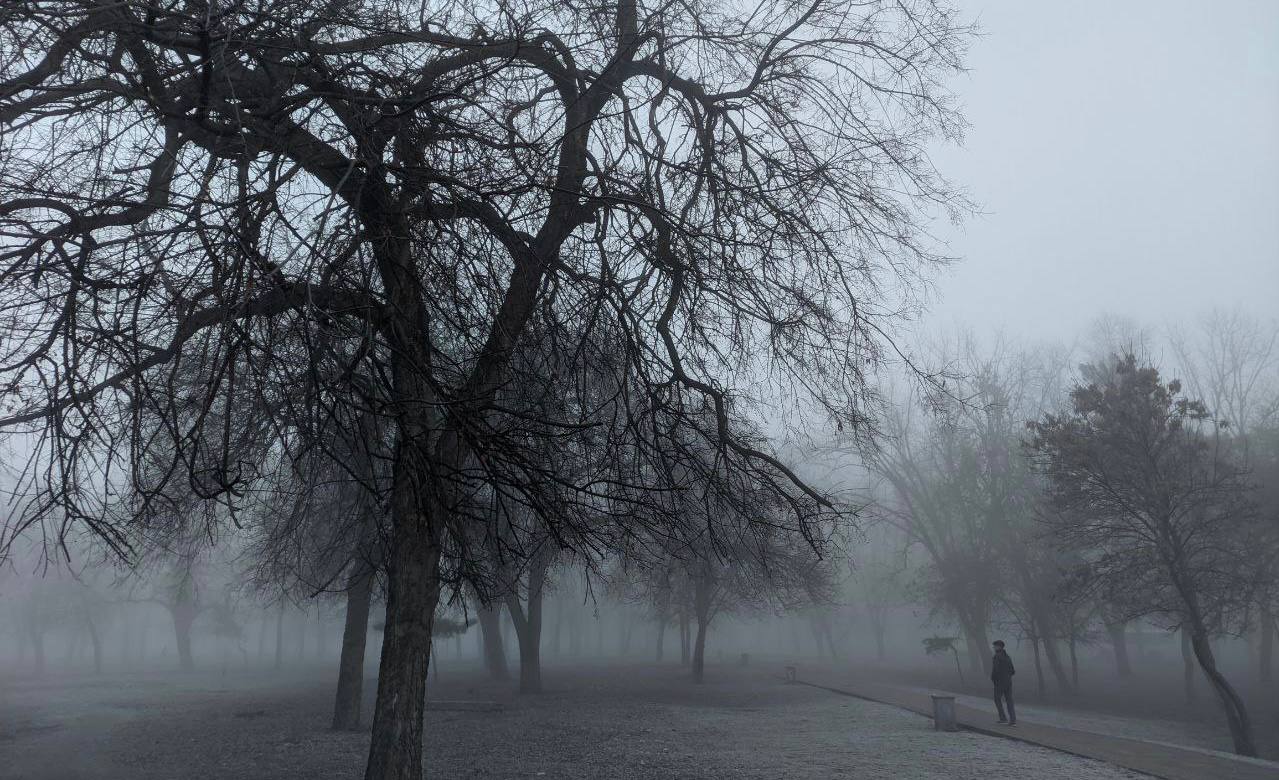 Туман и до +23 °С ожидаются 6 ноября на Кубани