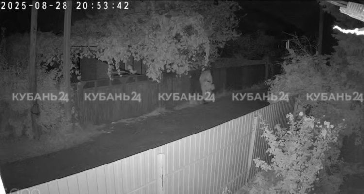 Убил из-за имени: новая версия причины расправы над «Дюймовочкой»