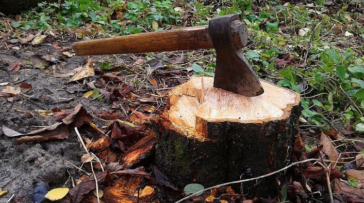 Ужас на Кубани! Подросток зарубил бабушку топором: подробности
