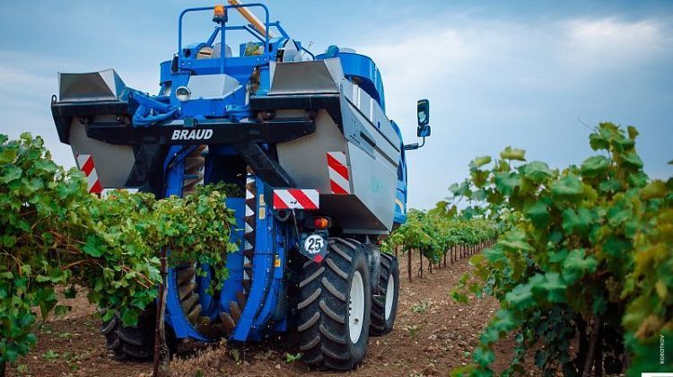 Урожай-2025 стал удачным: «Южная» завершила уборку с перевыполнением