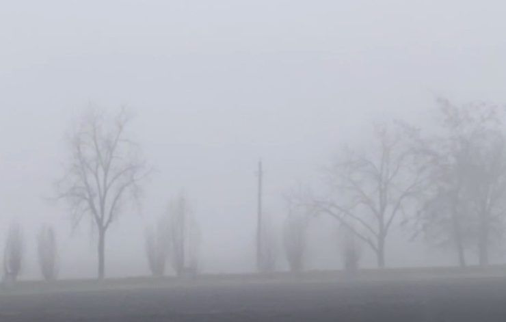 Утренний туман и до +23 °С днем прогнозируют 17 апреля в Краснодарском крае