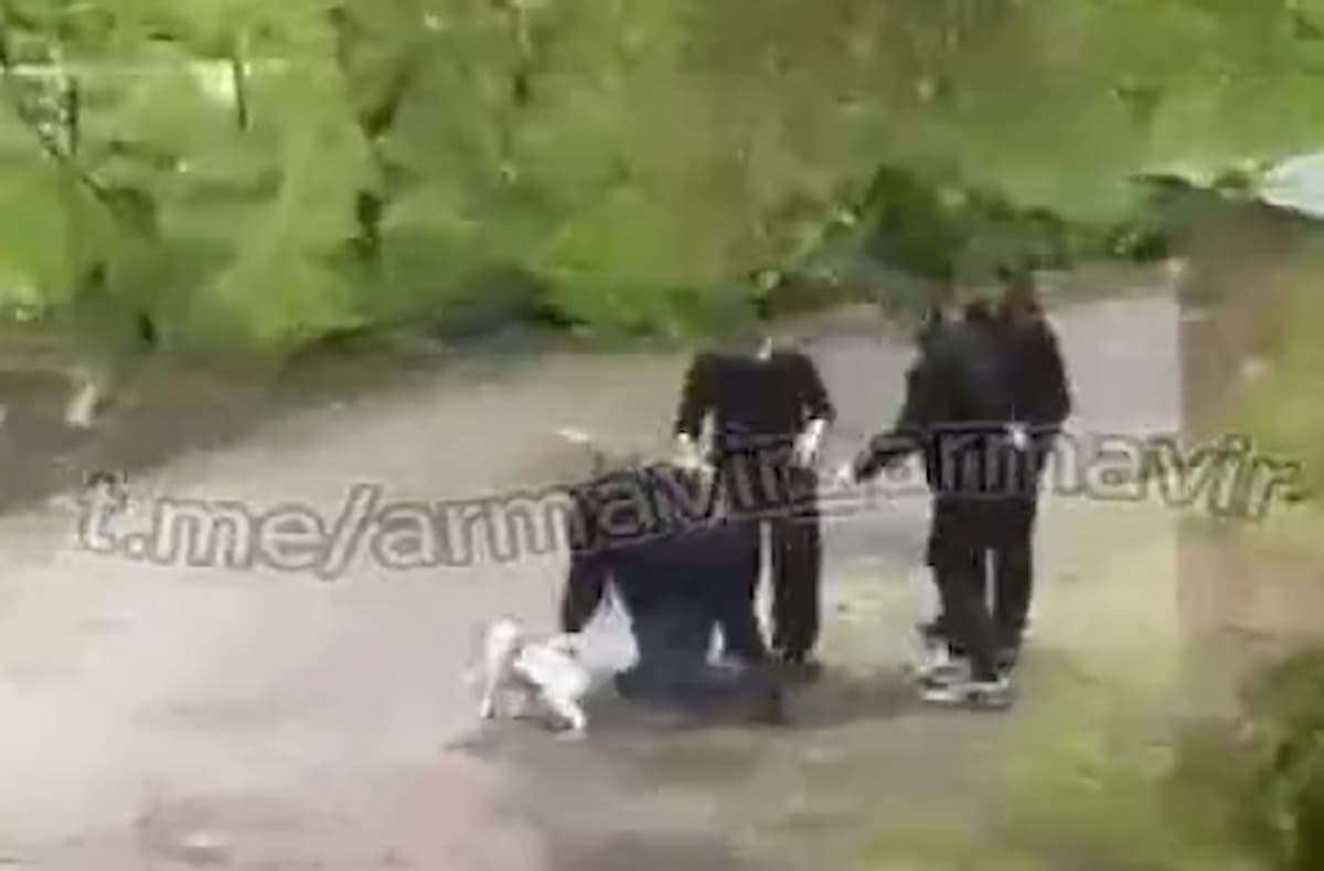 Хозяева собаки избили прохожего в Армавире после просьбы усмирить пса