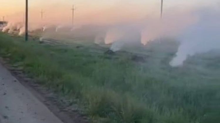 Холодный удар по урожаю: Кубань встречает Первомай с заморозками